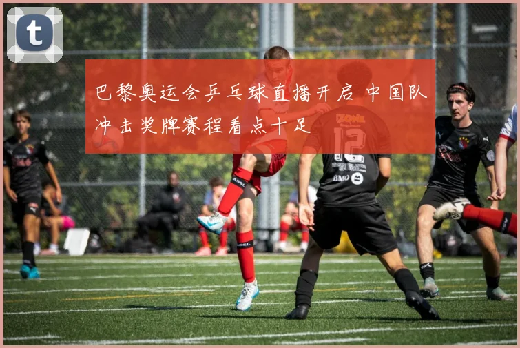 巴黎奥运会乒乓球直播开启 中国队冲击奖牌赛程看点十足