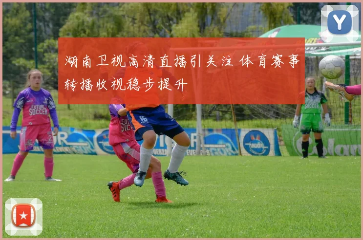 湖南卫视高清直播引关注 体育赛事转播收视稳步提升