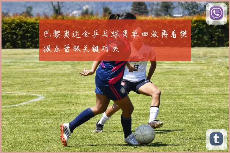 巴黎奥运会乒乓球男单回放再看樊振东晋级关键对决