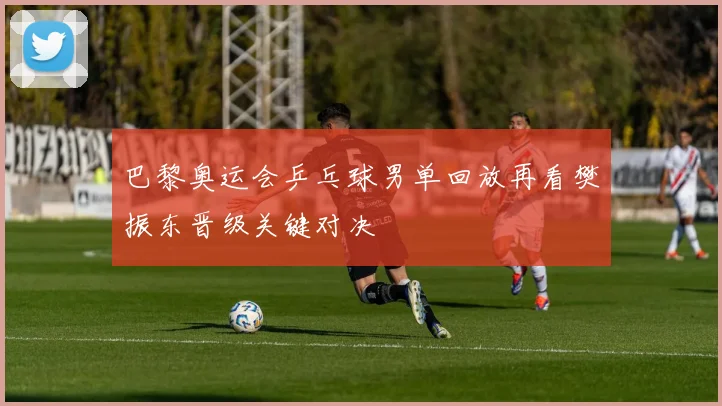 巴黎奥运会乒乓球男单回放再看樊振东晋级关键对决