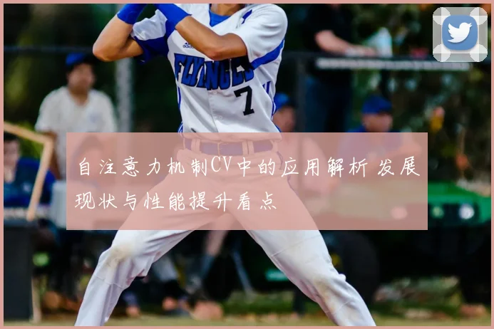 自注意力机制CV中的应用解析 发展现状与性能提升看点