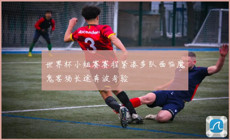 世界杯小组赛赛程紧凑多队面临魔鬼客场长途奔波考验