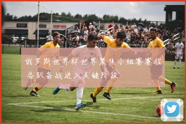 俄罗斯世界杯世界聚焦小组赛赛程 各队备战进入关键阶段