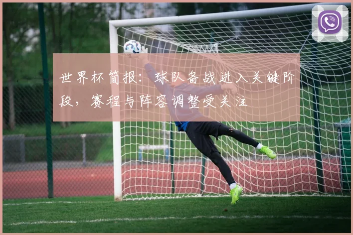 世界杯简报：球队备战进入关键阶段，赛程与阵容调整受关注