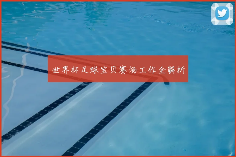 世界杯足球宝贝赛场工作全解析