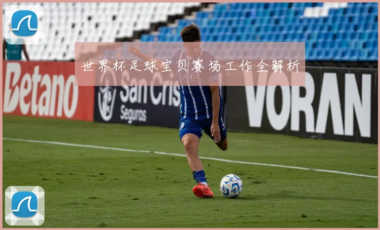 世界杯足球宝贝赛场工作全解析
