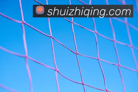 bsports中国官网APP 体育赛事宣传图